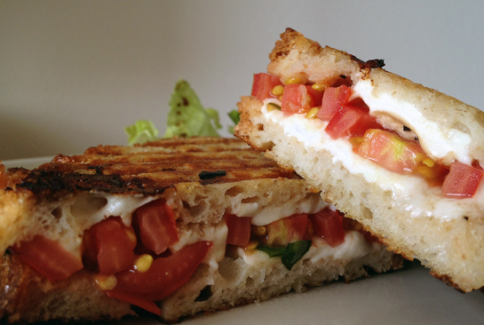 tomato_mozzarella_sandwich