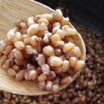 Cooked Wheatberries 